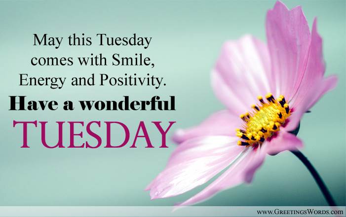 Happy Tuesday Wishes Messages | Tuesday Morning Messages