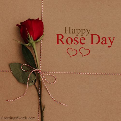 Romantic Rose Day Wishes For Him Her With Image